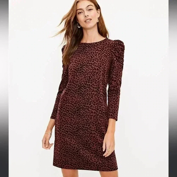 Nwt loft leopard print dress - Picture 1 of 7